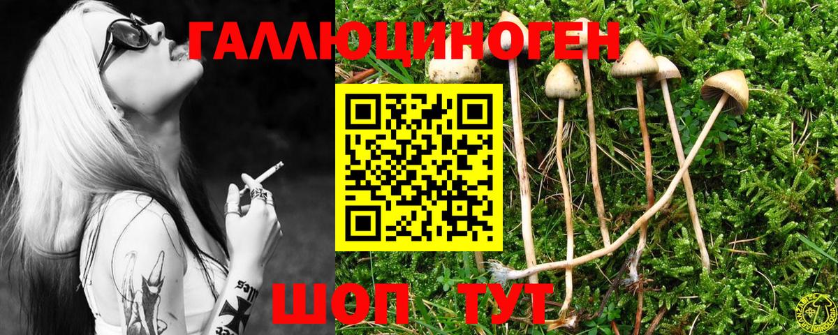 Фрязино  Галлюциногенные грибы мицелий  Вход с VPN 