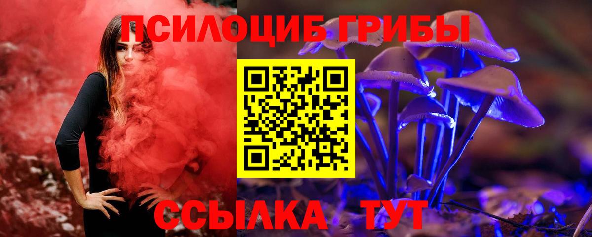 Псилоцибиновые грибы мицелий Фрязино