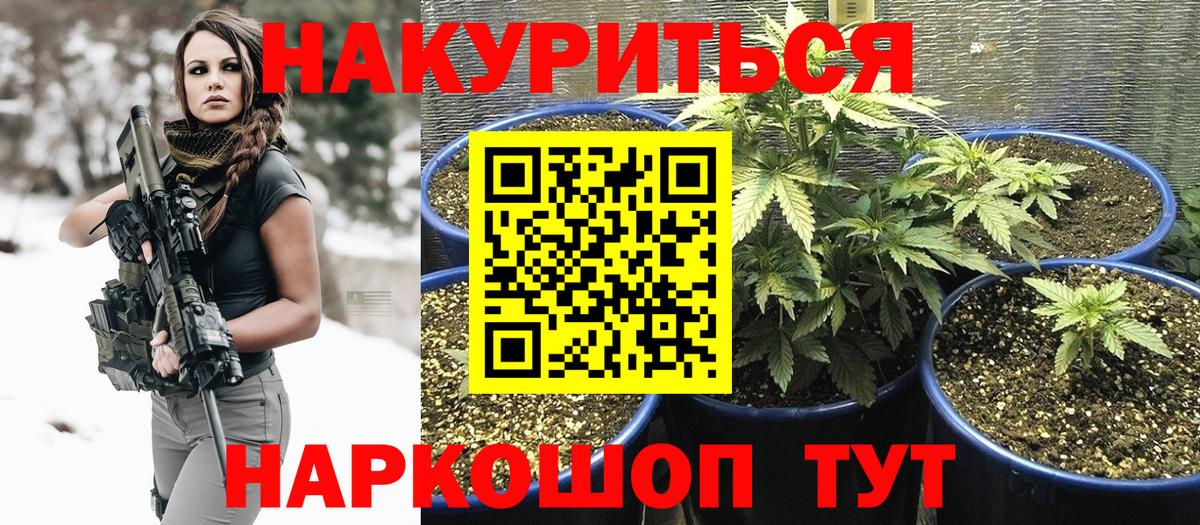 Марихуана MAZAR  Шишки марихуана MAZAR  Фрязино  Вход с VPN  Бошки марихуана планчик 
